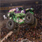 MONSTER JAM 2013