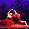 INTRODANS