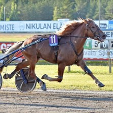 Festivaaliravit pe 10.7.