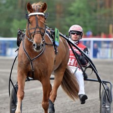 Festivaaliravit la 11.7.