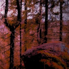 Mystisen mets&auml;n kekri