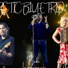 Arktista Bluesia @ Pub Sarvi K-18