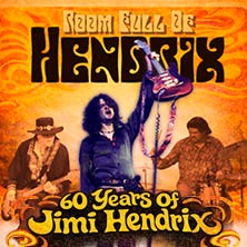 Room Full of Hendrix