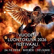 Vuoden Luontokuva