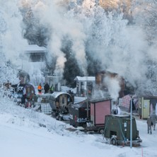 Talvisaunakarnevaali