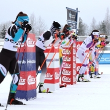 Scandinavia Cup