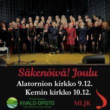 Meri-Lapin jousikvartetti