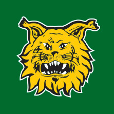 Ilves